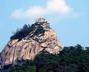 信阳天气预报10天