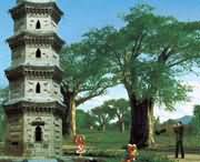 太康天气预报一周