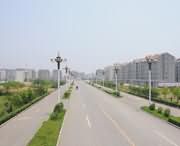 郸城天气预报10天