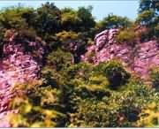 遂平天气预报一周