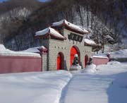 新洲天气预报一周