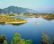 阳新天气预报一周