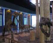 郧县天气预报10天