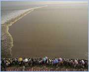 海宁天气预报一周