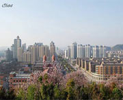 慈溪天气预报10天