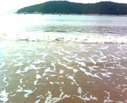 象山天气预报40天