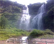 泰顺天气预报一周