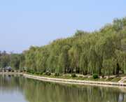 阜南天气预报10天