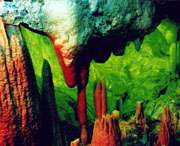 无为天气预报一周