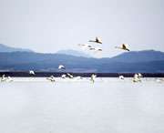 东至天气预报一周