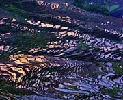 尤溪天气预报10天