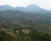 大田天气预报10天