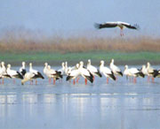 新建天气预报一周