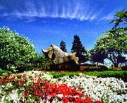 庐山天气预报一周