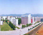 新余天气预报一周