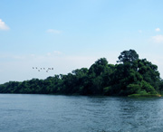 衡南天气预报一周