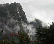 临武天气预报10天