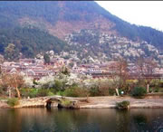 贵定天气预报一周