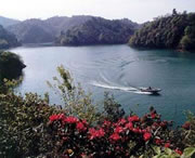 长顺天气预报一周