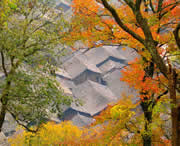 三穗天气预报10天