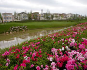 双流天气预报10天