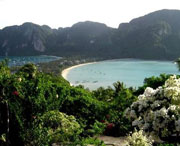 新津天气预报10天