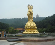 遂宁天气预报10天