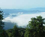 屏山天气预报10天