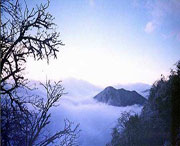 峨边天气预报一周