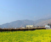 越西天气预报一周