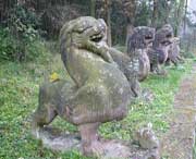 芦山天气预报10天