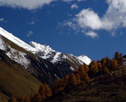 理县天气预报一周