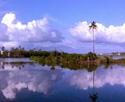 徐闻天气预报10天