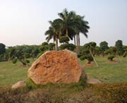 新会天气预报一周