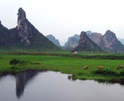 清远天气预报10天