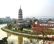 罗定天气预报一周