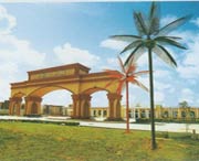 阳江天气预报10天