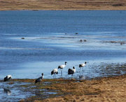 会泽天气预报一周