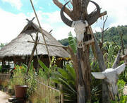 沧源天气预报10天