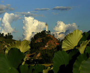 凤庆天气预报10天