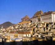 迪庆天气预报10天