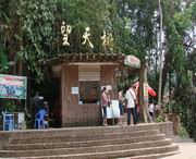 勐腊天气预报10天