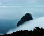 金秀天气预报10天