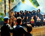 那坡天气预报一周